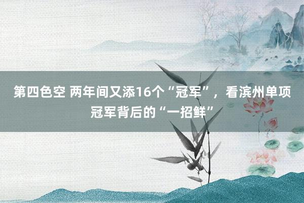 第四色空 两年间又添16个“冠军”，看滨州单项冠军背后的“一招鲜”