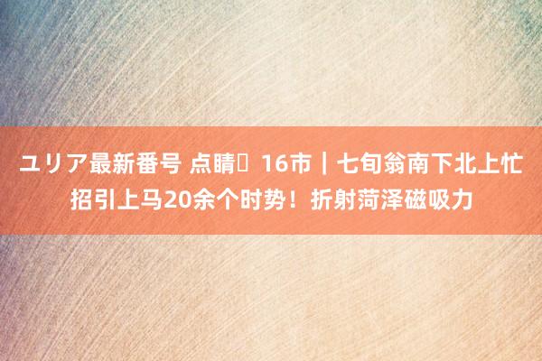 ユリア最新番号 点睛▪16市｜七旬翁南下北上忙招引上马20余个时势！折射菏泽磁吸力