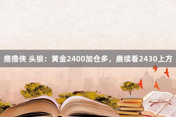 撸撸侠 头狼：黄金2400加仓多，赓续看2430上方