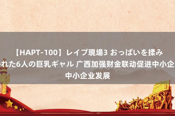 【HAPT-100】レイプ現場3 おっぱいを揉みしだかれた6人の巨乳ギャル 广西加强财金联动促进中小企业发展