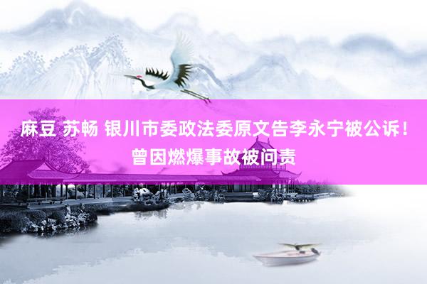 麻豆 苏畅 银川市委政法委原文告李永宁被公诉！曾因燃爆事故被问责