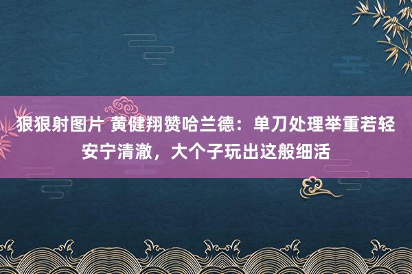 狠狠射图片 黄健翔赞哈兰德：单刀处理举重若轻安宁清澈，大个子玩出这般细活