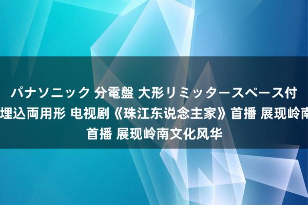 パナソニック 分電盤 大形リミッタースペース付 露出・半埋込両用形 电视剧《珠江东说念主家》首播 展现岭南文化风华