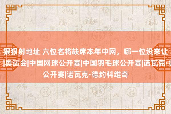 狠狠射地址 六位名将缺席本年中网，哪一位没来让你最缺憾？|奥运会|中国网球公开赛|中国羽毛球公开赛|诺瓦克·德约科维奇