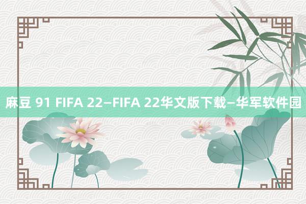 麻豆 91 FIFA 22—FIFA 22华文版下载—华军软件园